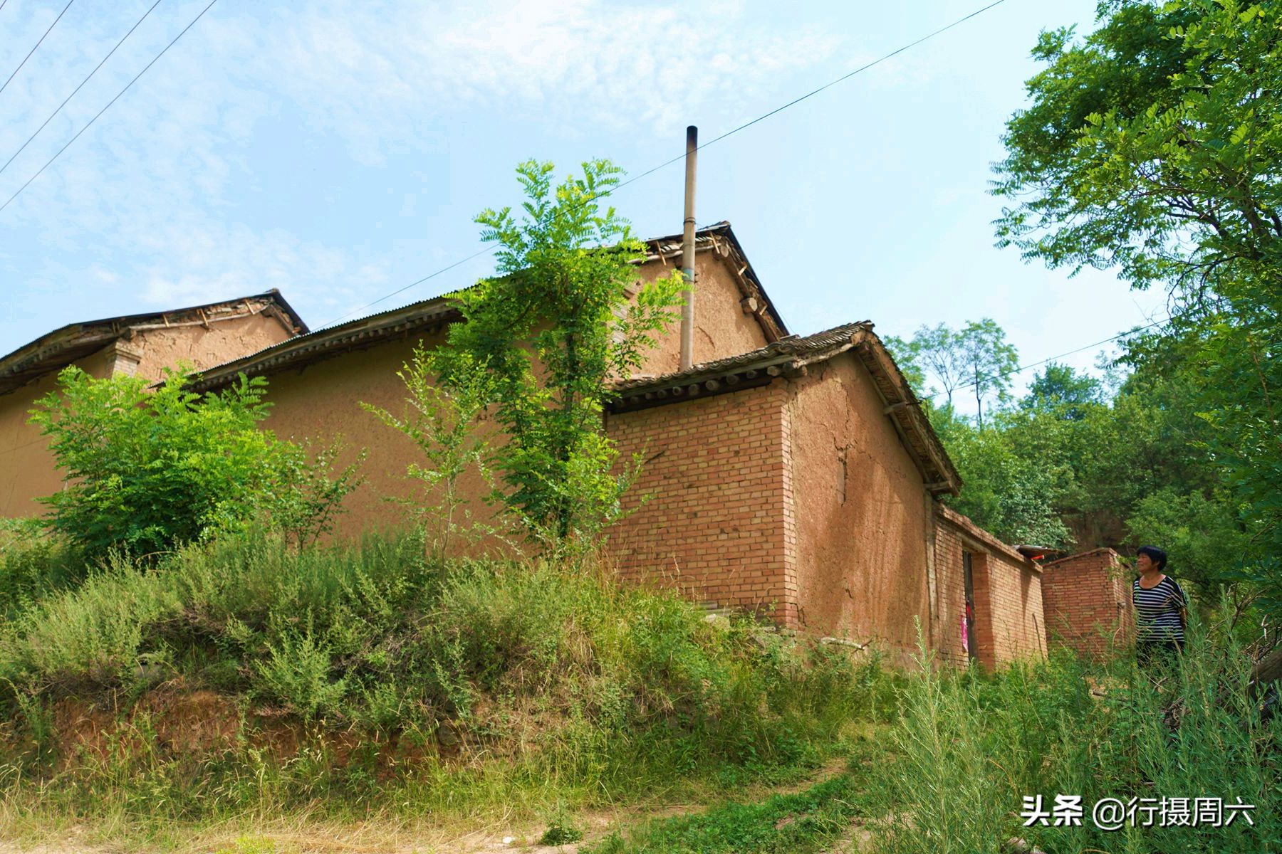 农村大姐养宠物犬,农村大姐养土狗视频