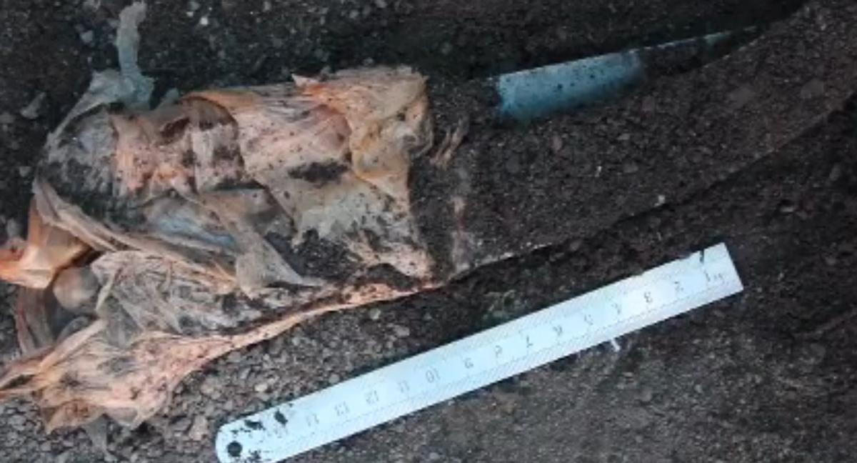 辽宁女子梦到殡仪馆亡父求救,女子做梦梦到弟弟被害地点