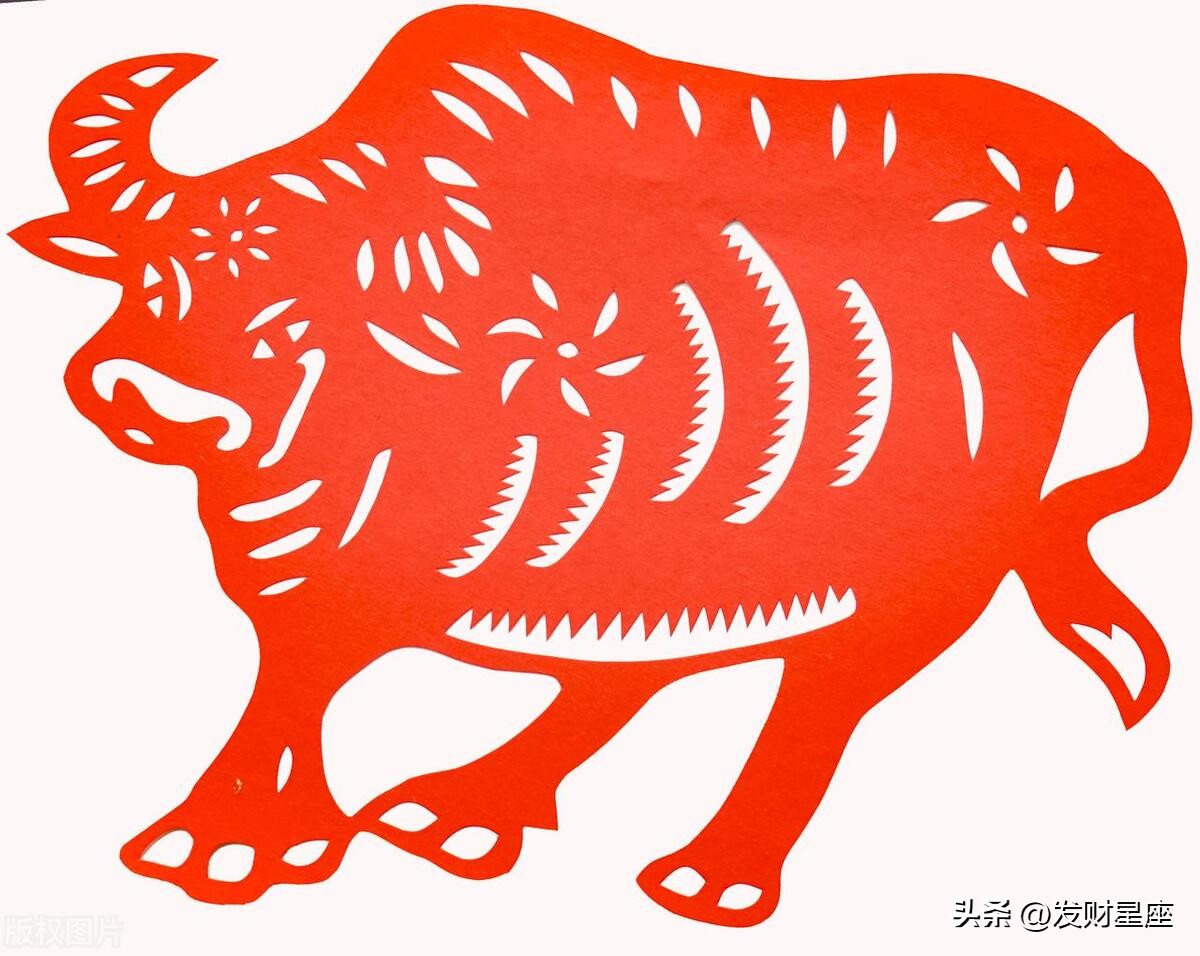 大手大脚代表哪个生肖,花钱阔气财运不错的三大生肖