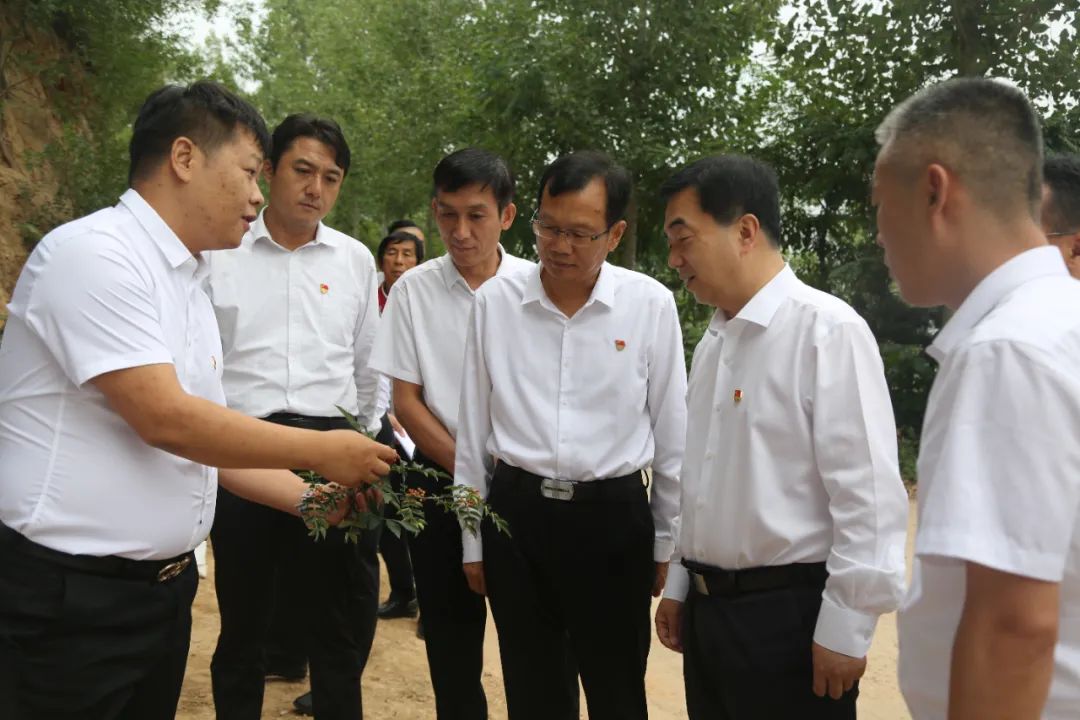 全县花椒产业发展动员部署会召开,关岭召开花椒产业发展专题会议