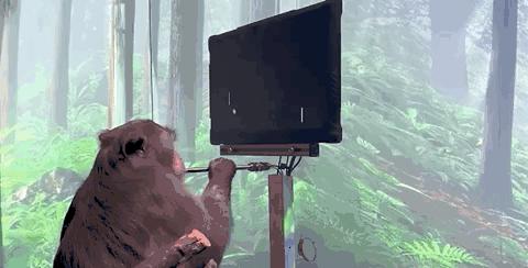 大脑被植入芯片看不见,在大脑植入芯片可以看到东西