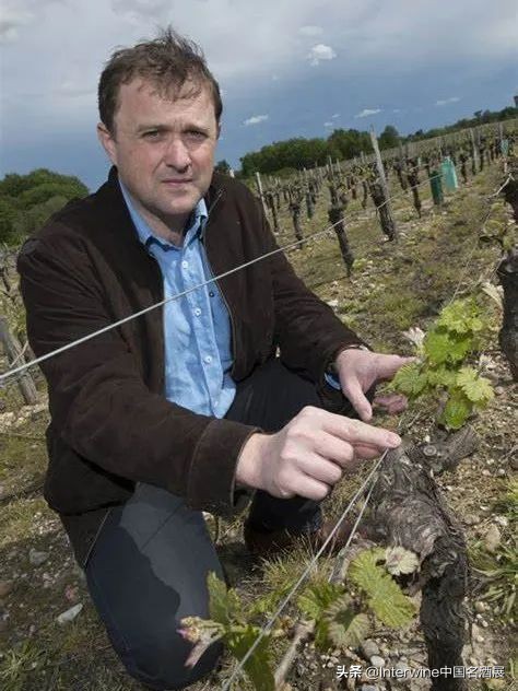 interwine国际精品葡萄酒展,interwine是什么意思