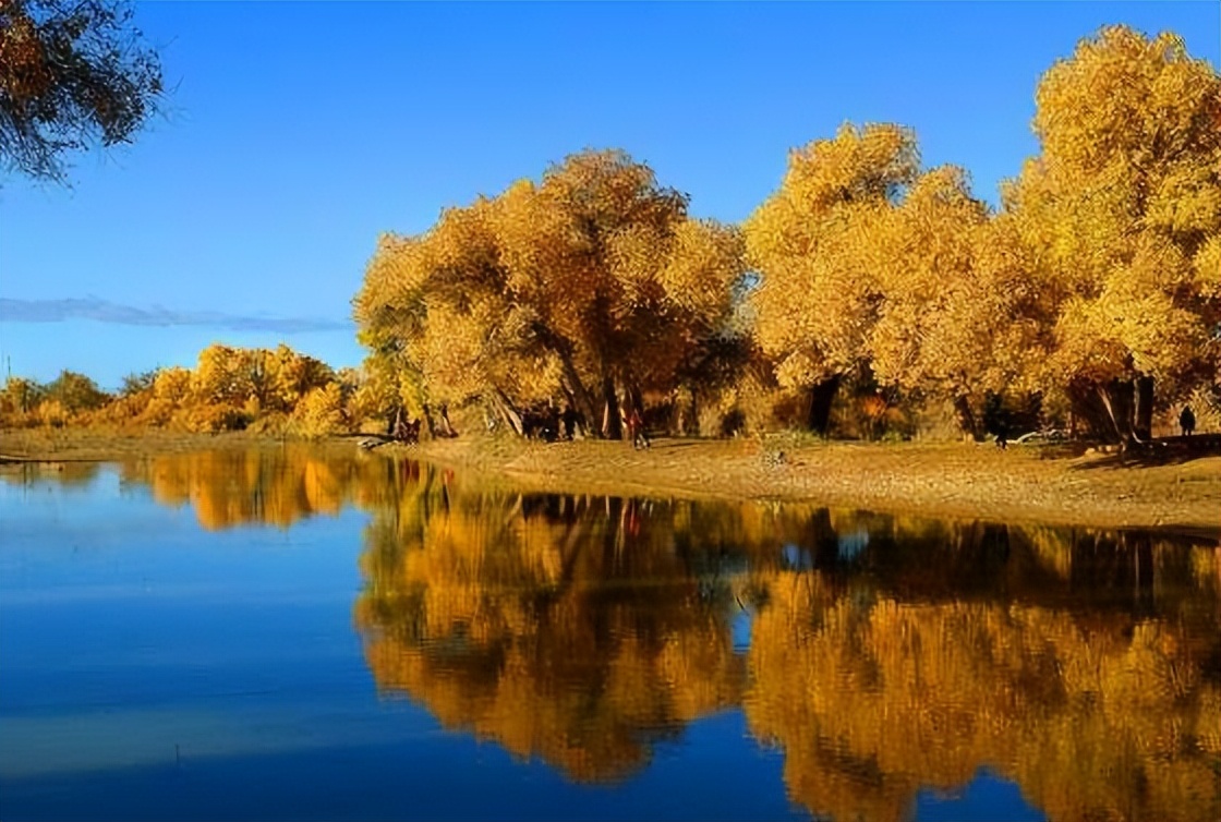 四本体育小说排行榜,4本体育小说