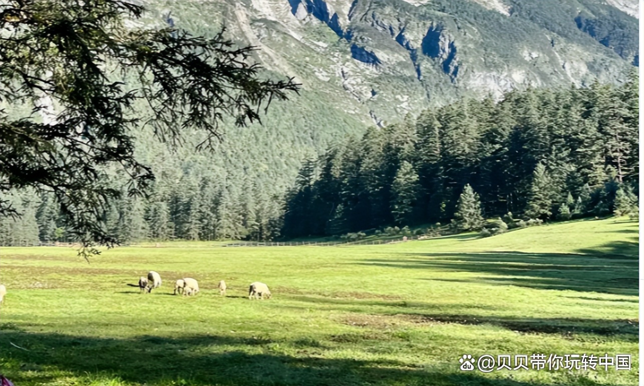 向往的地方玉龙雪山,向往的诗和远方完整火车版
