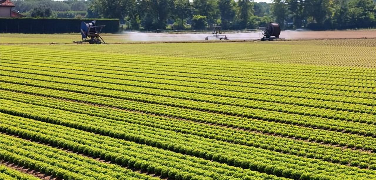 农业信息化和精准农业,农业信息化是在农业的什么领域