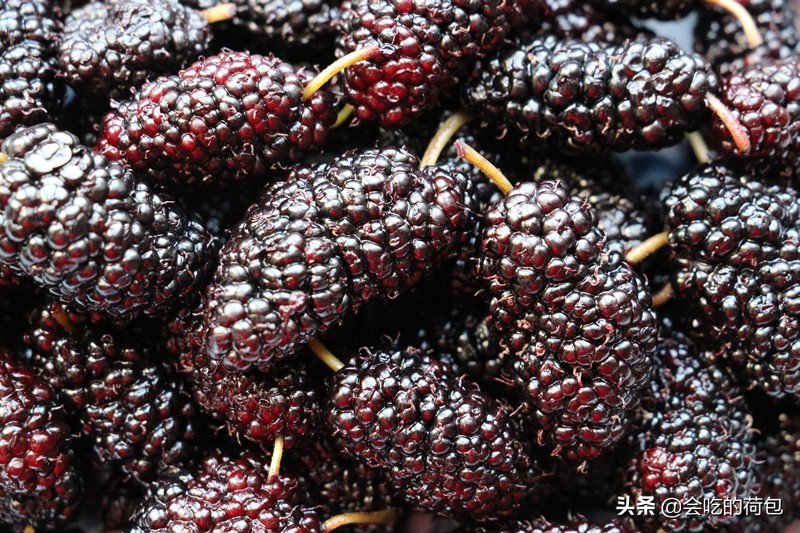 女性皮肤不好没事多吃的食物,皮肤干燥不水嫩多吃这些护肤菜