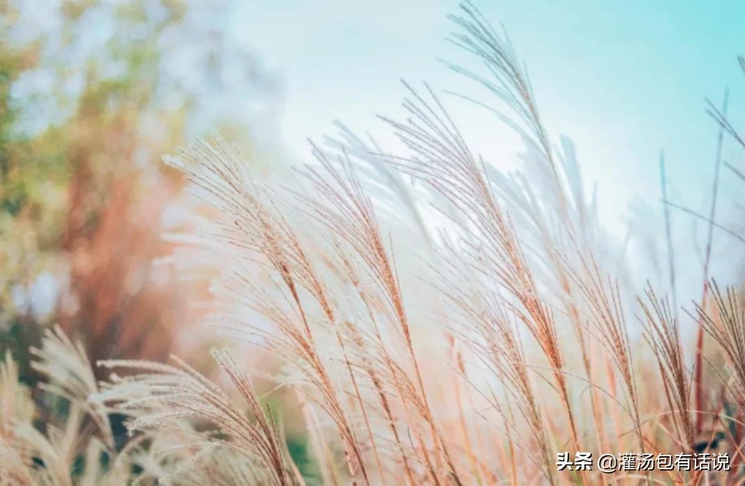 抠门的100种方法,23个抠门小妙招打造低成本生活