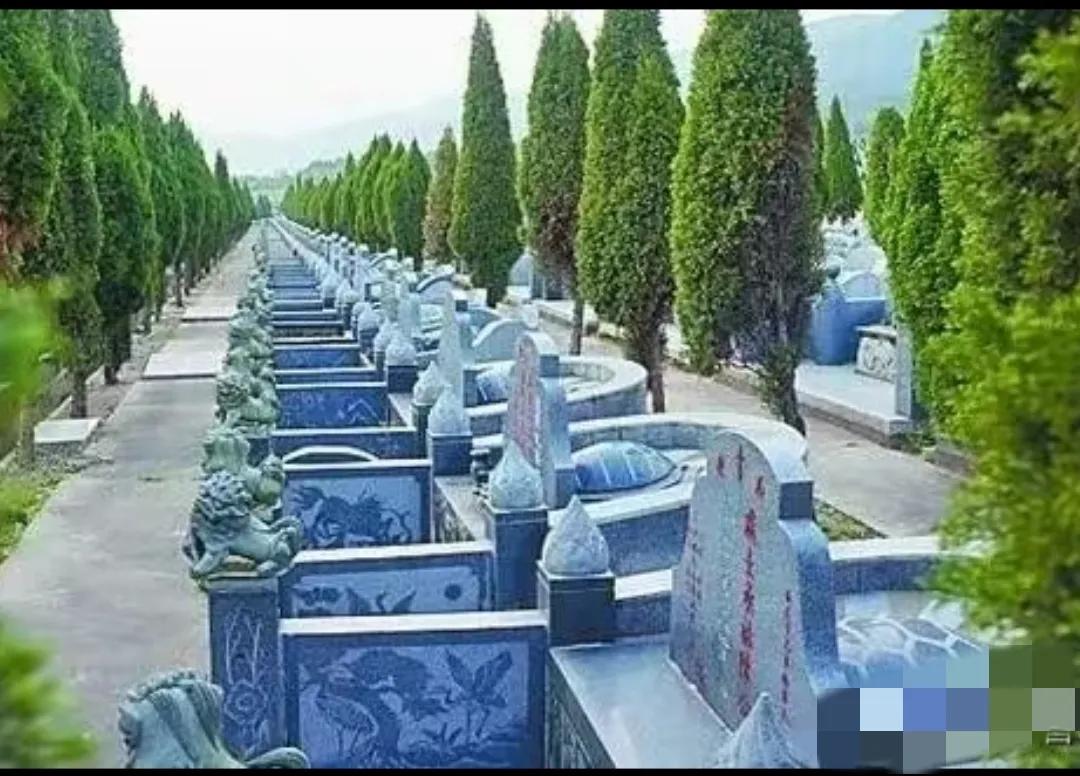 分享一个冷门暴利行业100倍利润,未来利润高不起眼的暴利行业