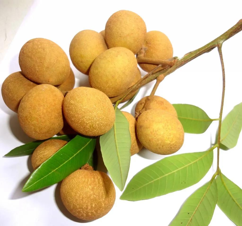 产量最高的四大水果,广东最大的水果产地是哪里