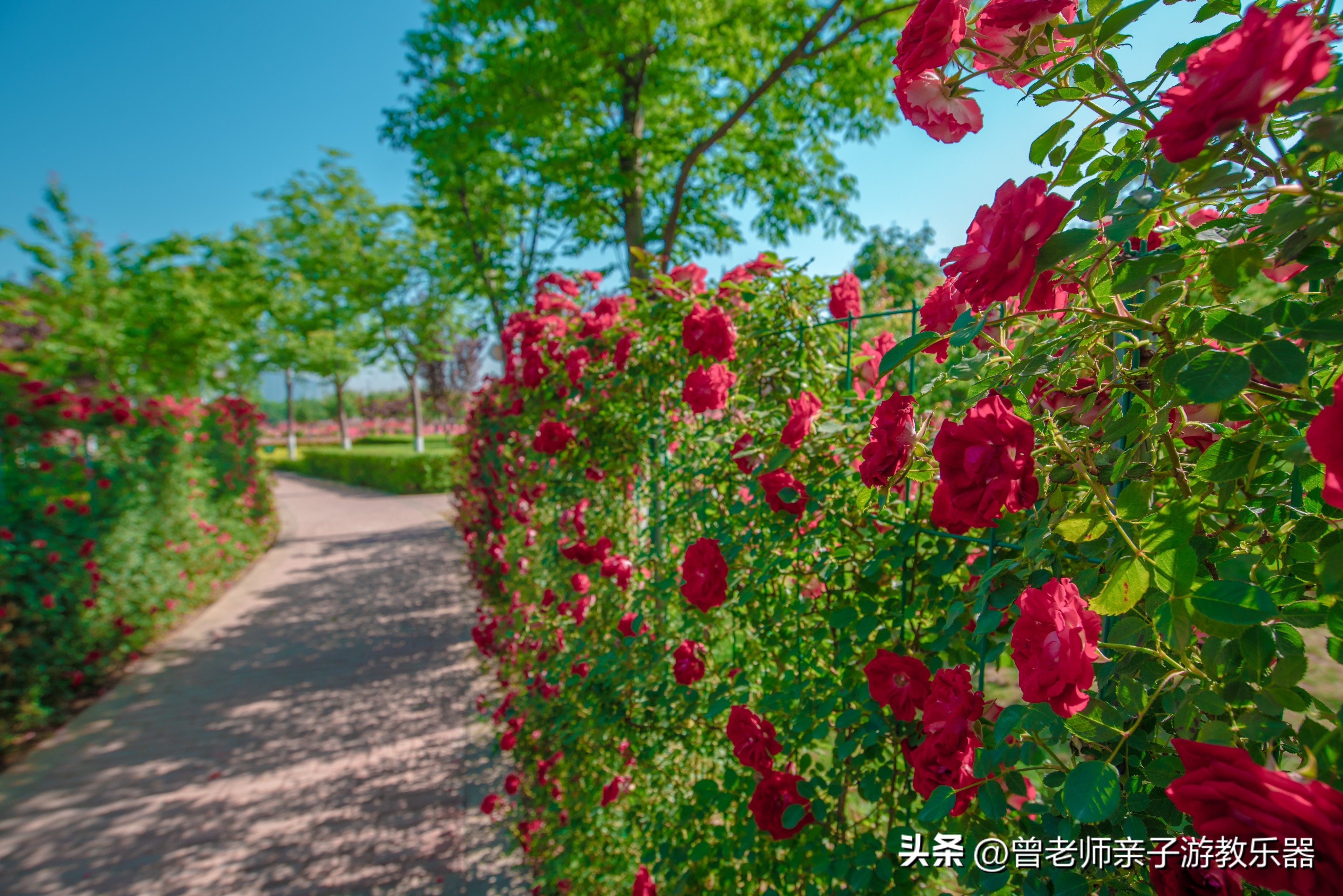 西安旅游景点免费推荐一日游攻略,西安旅游必去景点推荐一日游免费