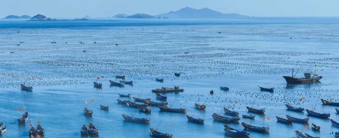 如何夸牡蛎好吃,牡蛎好吃吗