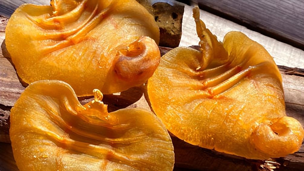 新鲜海鲜店加盟店排行榜,新鲜海鲜加盟连锁店