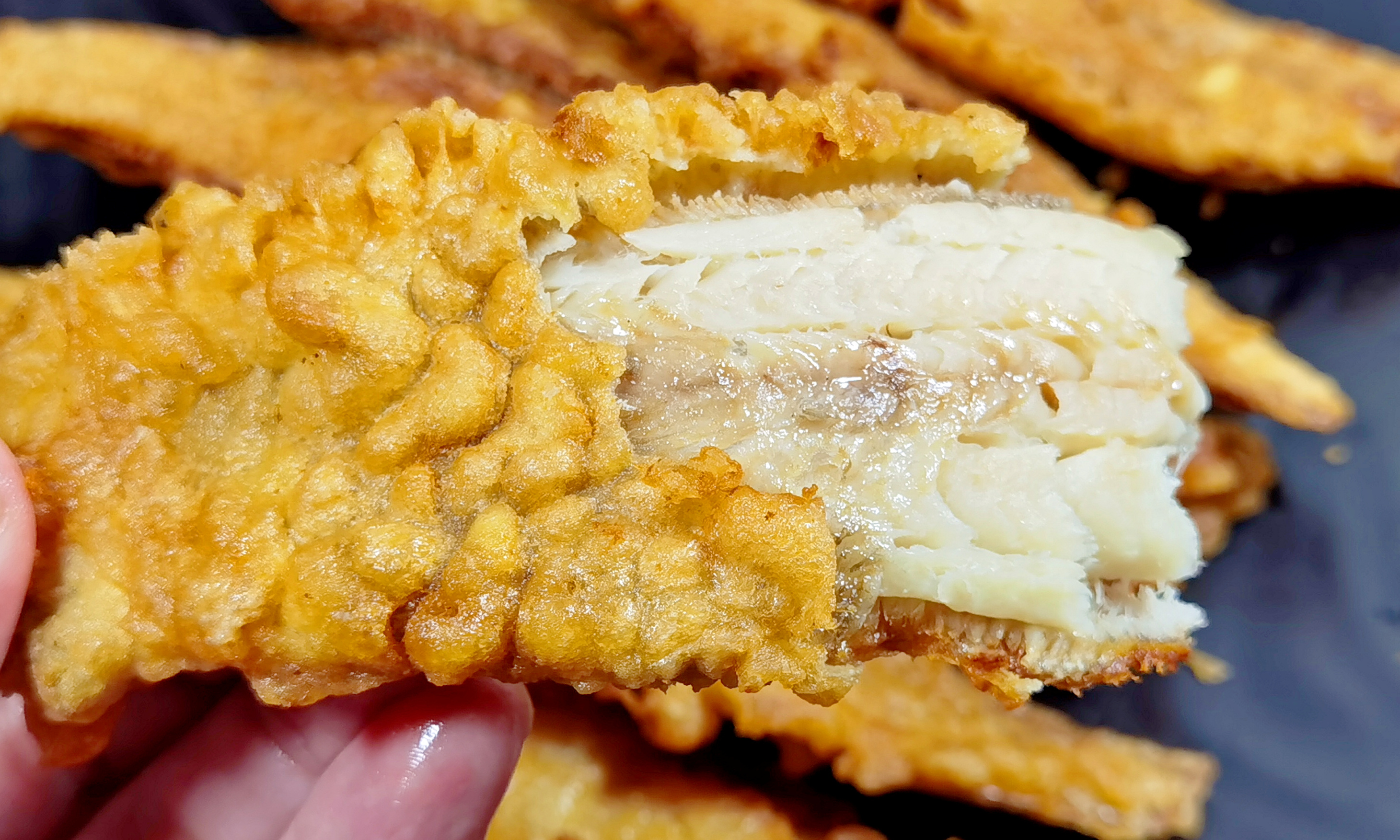 秋天吃什么鱼最有营养,秋天一定要吃这种鱼好吃还健康