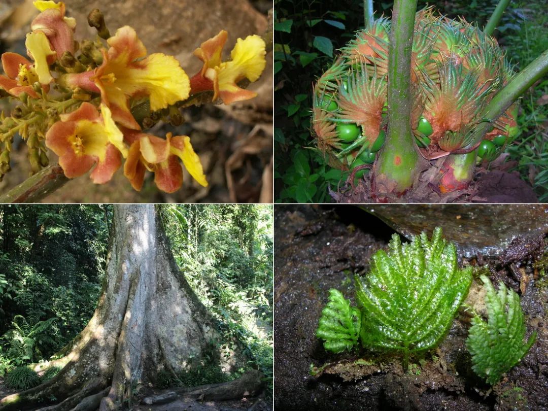 有一种生活叫做云南的生活,有一种叫云南的生活原文