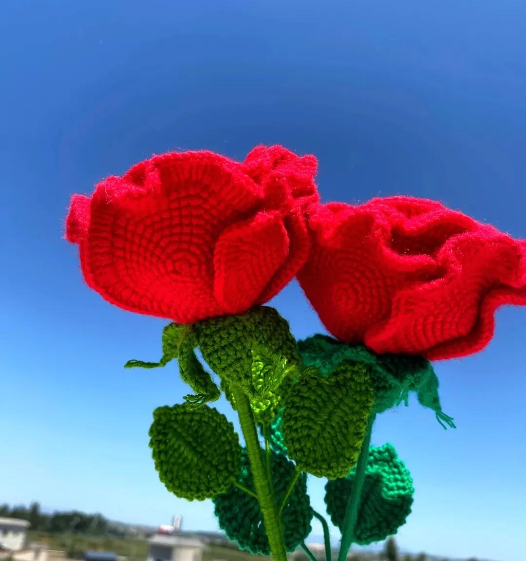 美到窒息的玫瑰花图,鲜花娇艳动人的图片