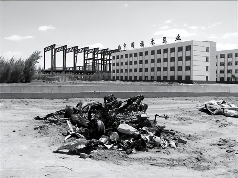 包头首富金利斌个人资料,金利斌白手起家