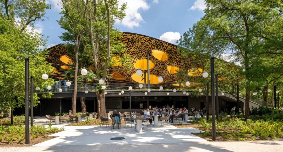 与藤本壮介一起走进金色叶子‘殿堂’，匈牙利音乐之家