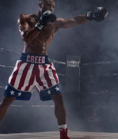 洛奇心得,洛奇成功之路