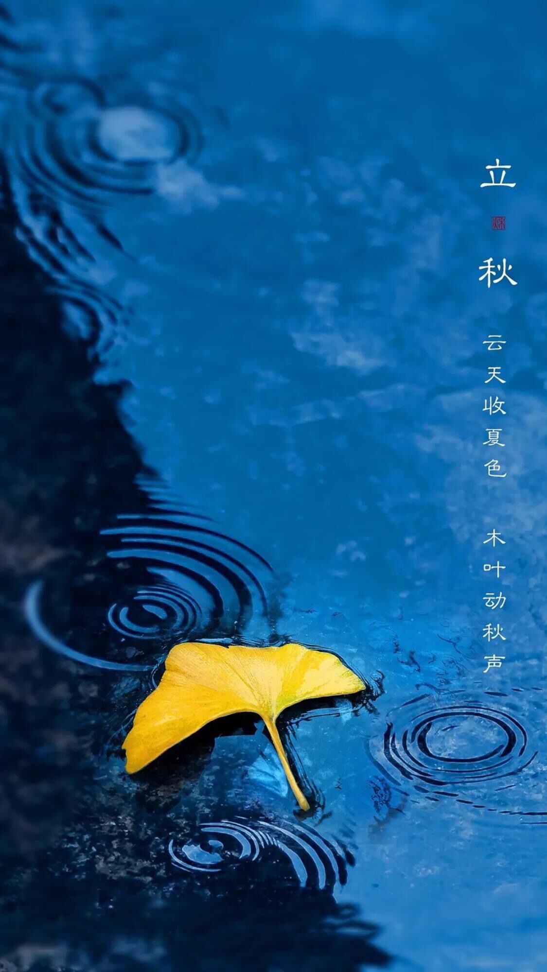 宀佸崕杩囧崐浼戞儐鎬呬笖瀵硅タ椋庤繋绔嬬,宀佹湀杩囧崐浼戞儐鎬呬笖瀵硅タ椋庤春绔嬬