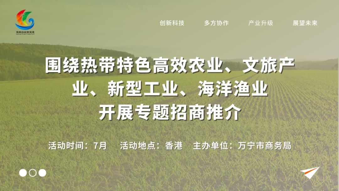 海南招商引才平台,海南引才招商