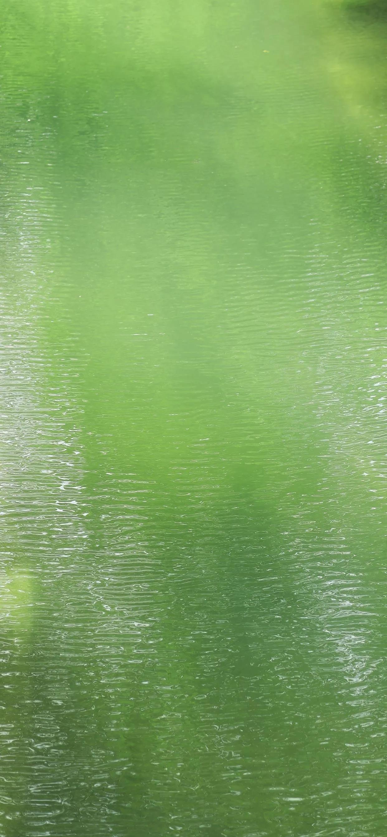 夏季清新凉快的壁纸高清,夏天一看就很凉爽的壁纸