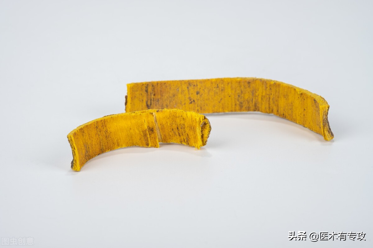 和黄柏同样效果的中药,一味中药黄柏功效与作用