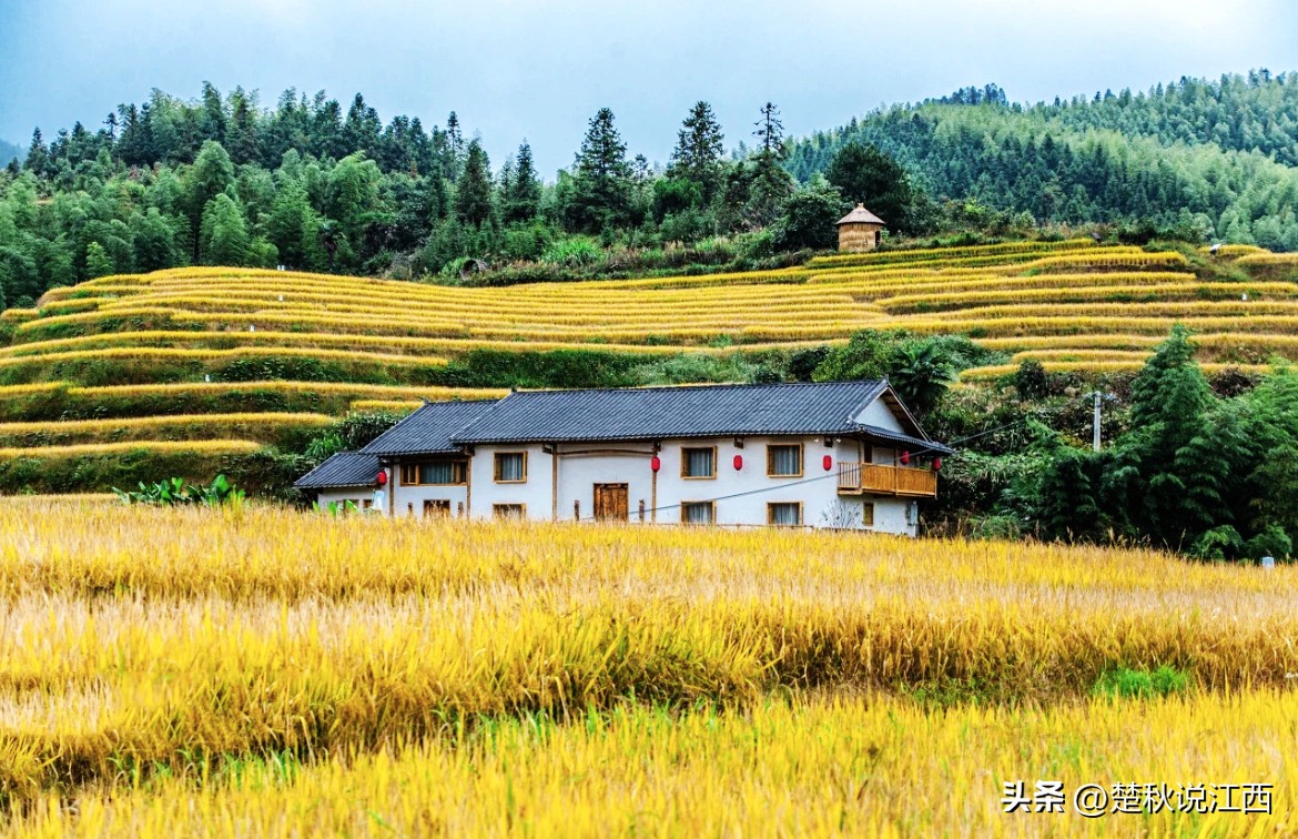 江西有哪些梯田风景区,江西梯田排名前十的梯田
