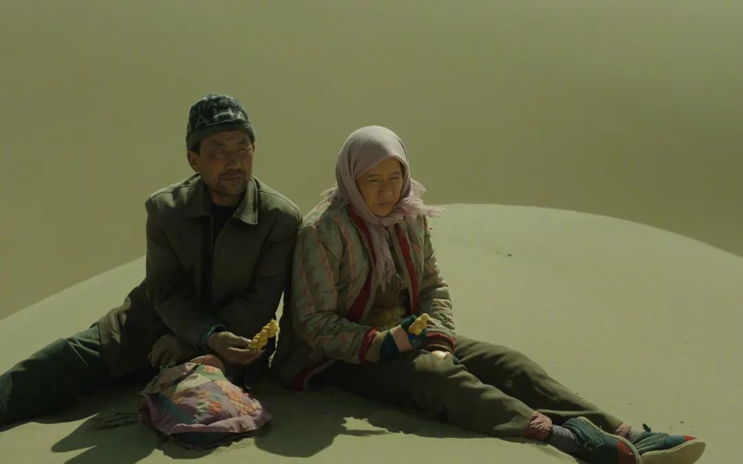 春节虎年大片,虎年科普影片