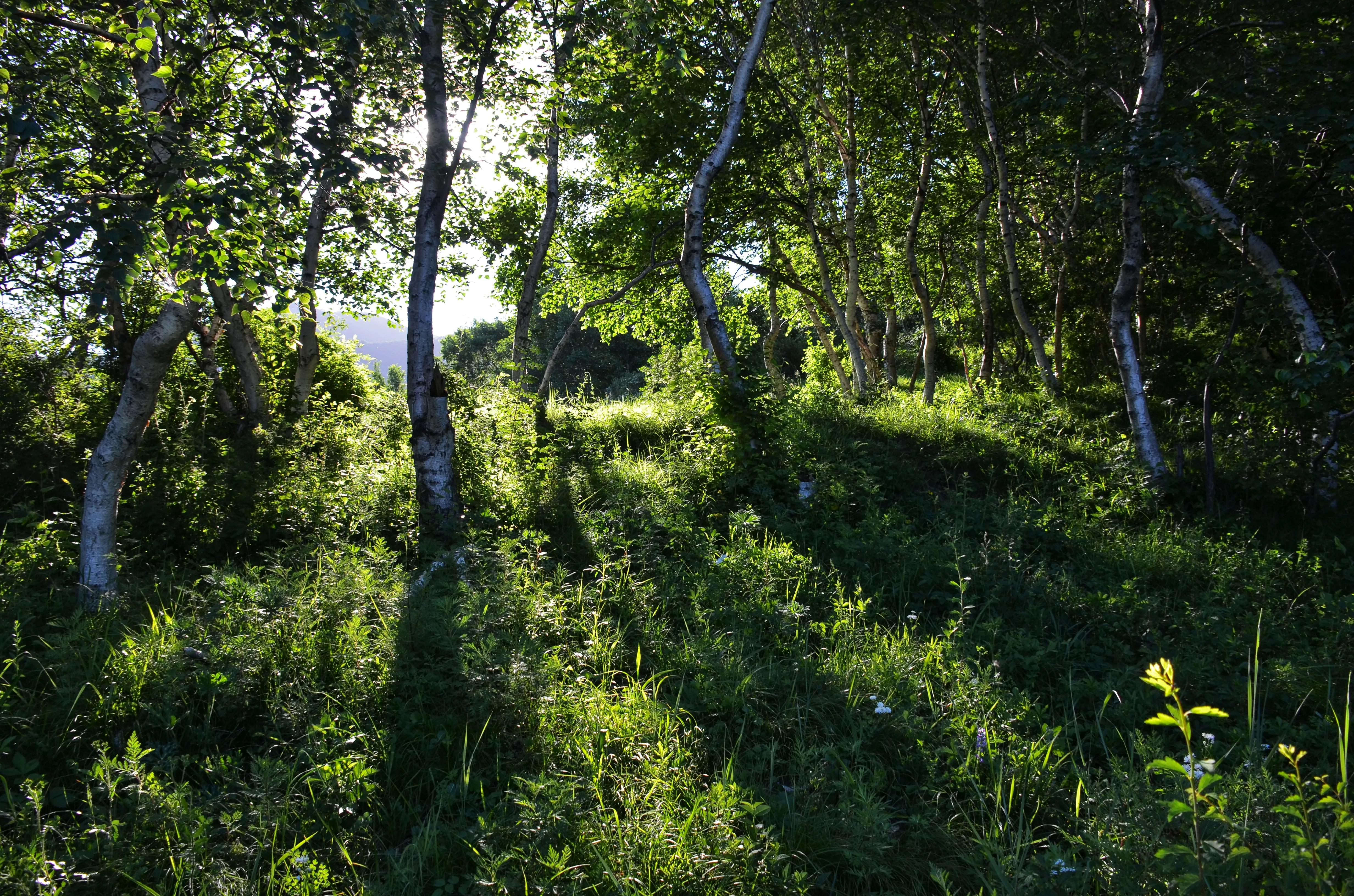 小五台山震撼,小五台山景区最新视频