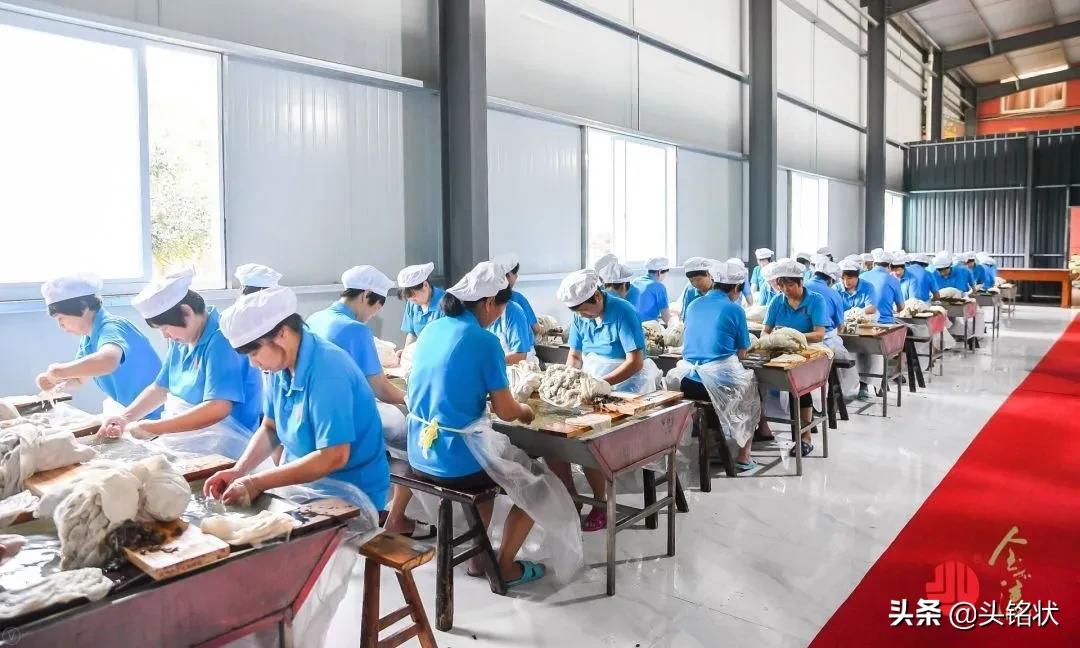 海安蚕丝被哪个品牌最出名,品牌桑蚕丝被多少钱一床