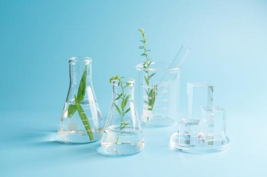 师范类的生物科学是天坑专业吗,生物科学专业是天坑吗