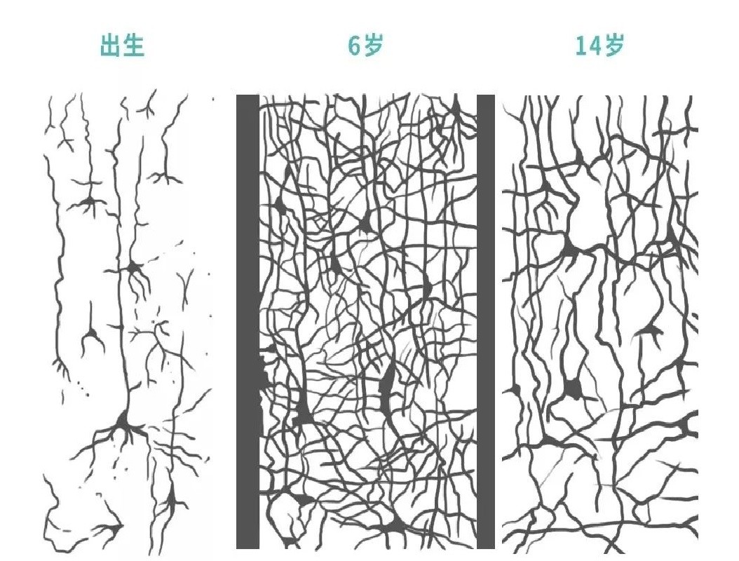 大脑为什么会删除3岁前的记忆,大脑为啥要删除3岁之前的记忆
