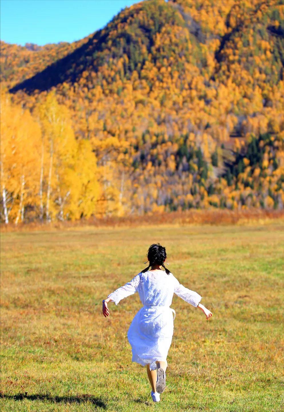 秋季喀纳斯,喀纳斯之秋风景画