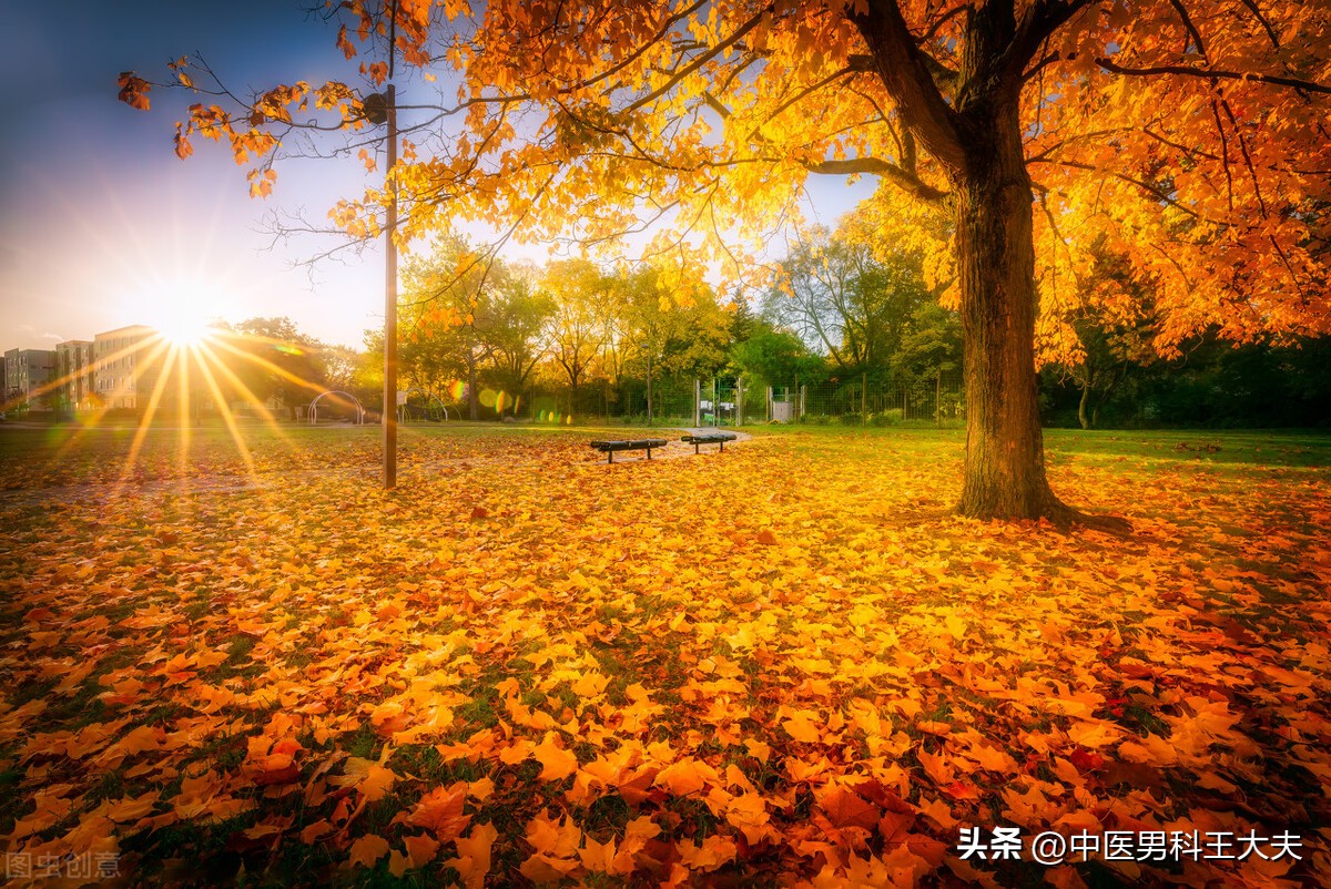 补肾补气补肾精的药可以一起吃吗,补气补肾的最佳方法