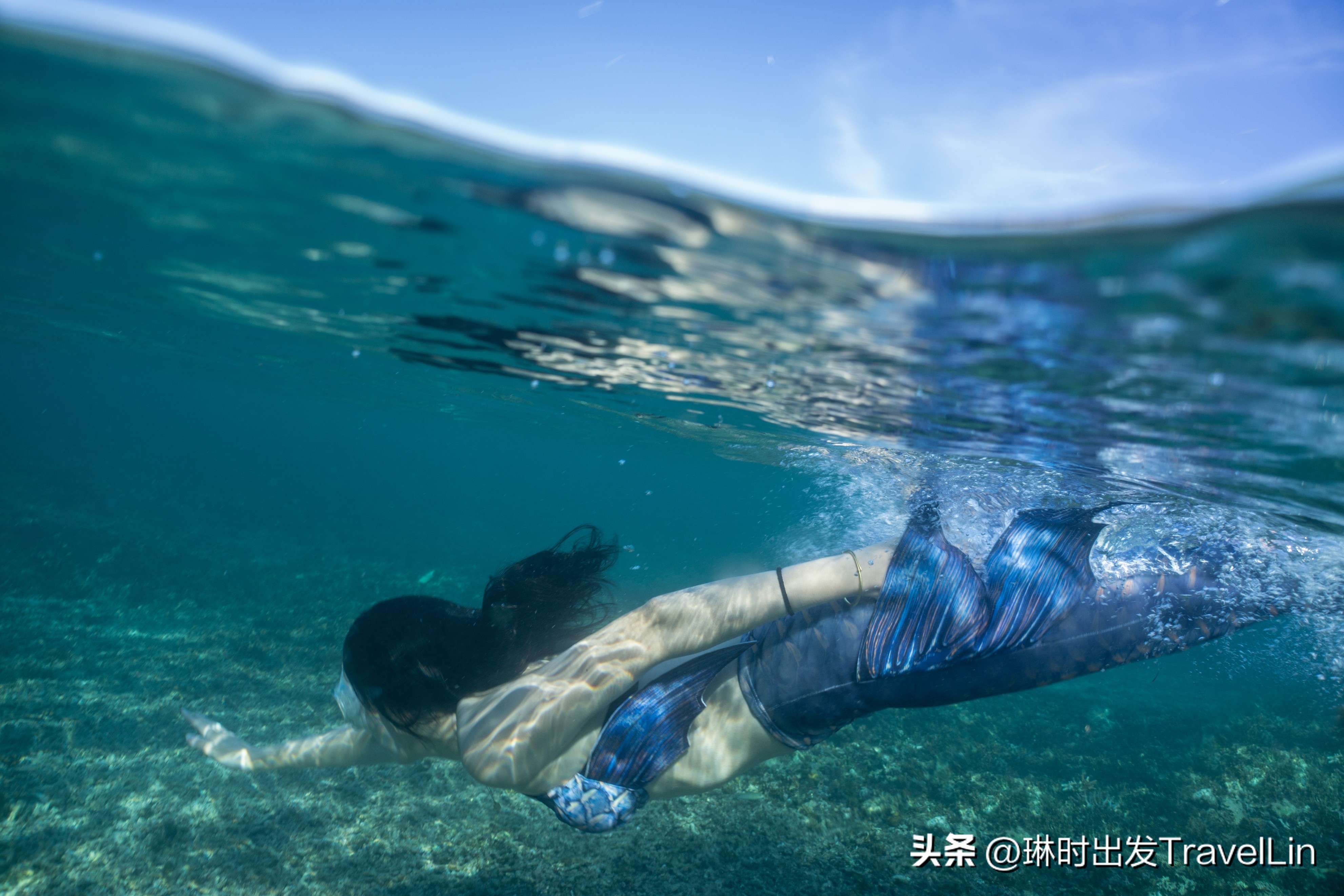 超刺激的海钓视频,超刺激的鲨鱼