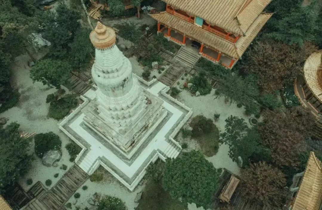 褰窞鐧介箍灏忛晣闇嶆牸娌冭尐,褰窞闇嶆牸娌冭尐