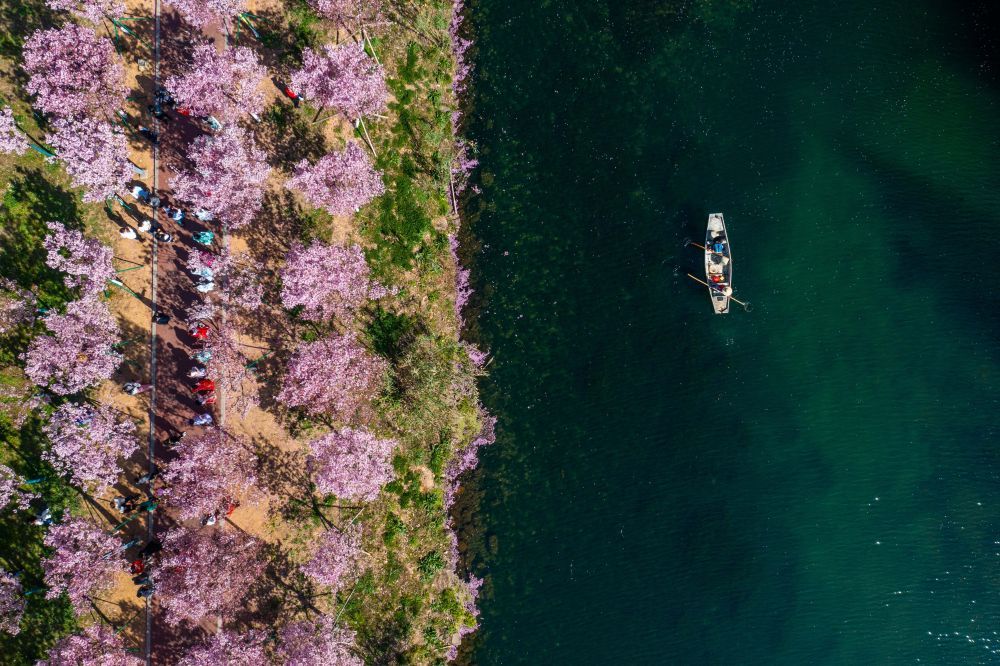 千万工程造就美丽乡村人民日报,千万工程塑造美丽乡村新华社