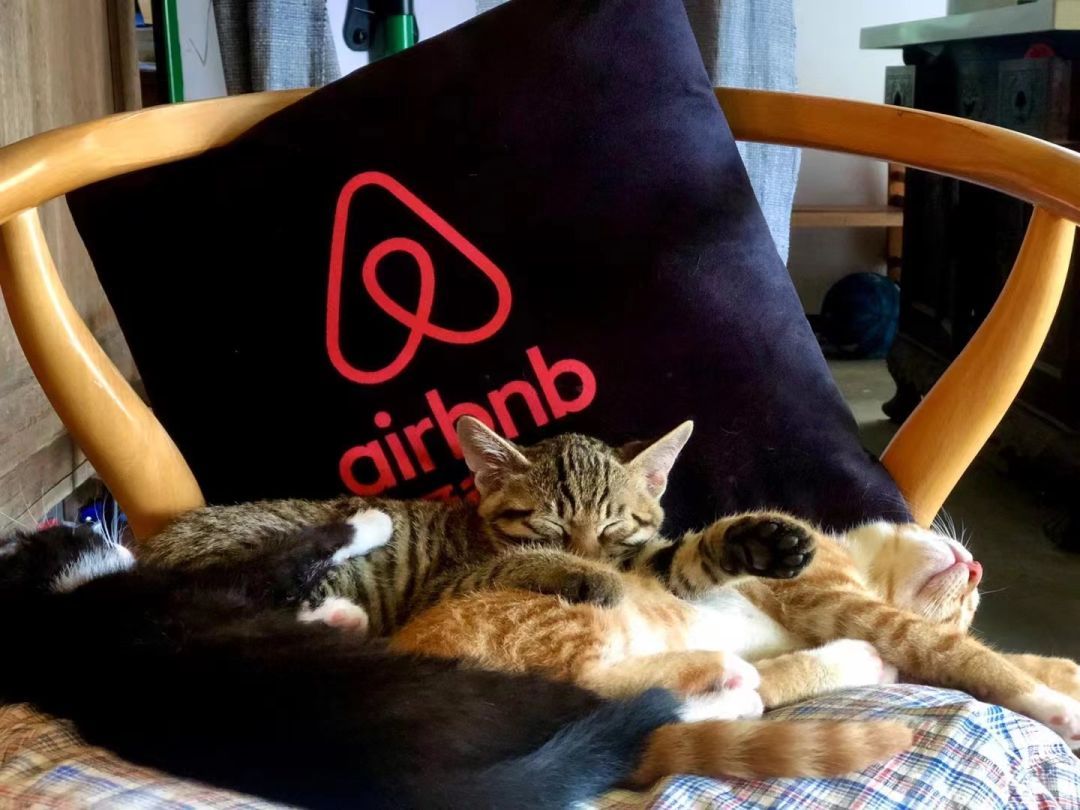 心动！那些藏在崇明民宿里的初秋小美好