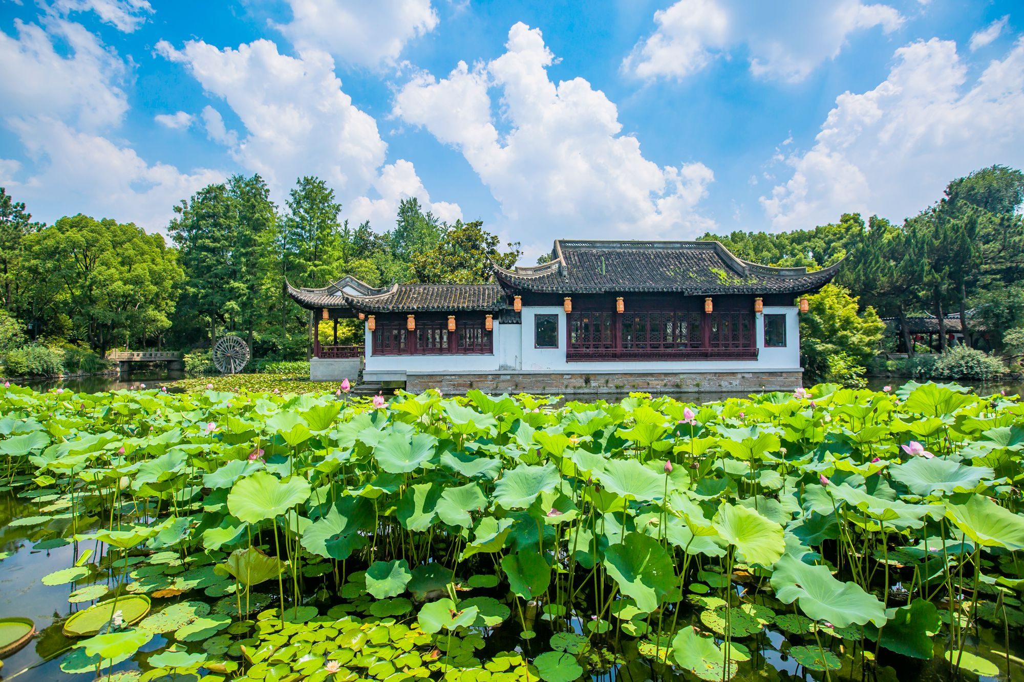 上海有几个古猗园,上海古猗园好玩吗