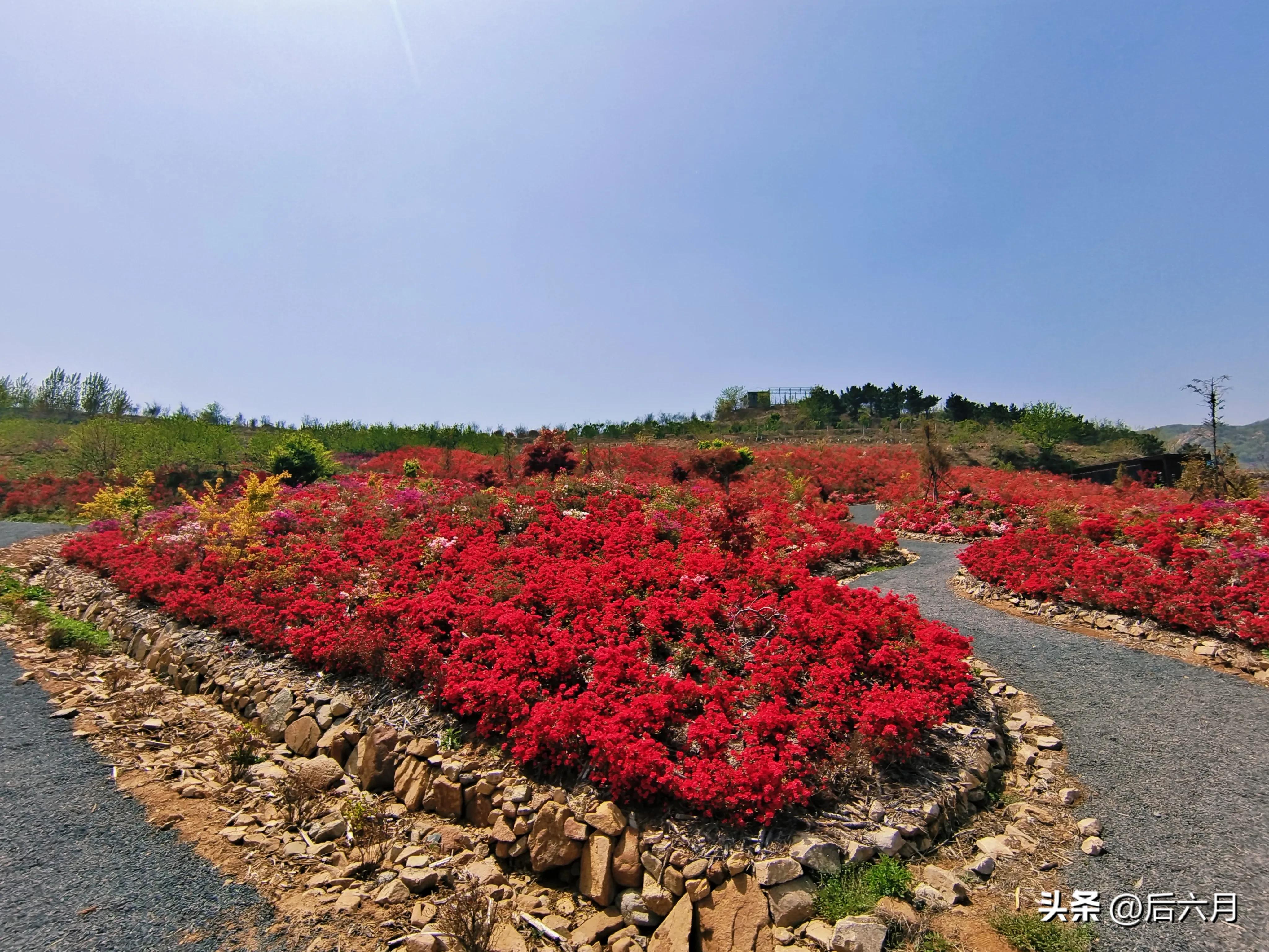 途游西海岸l无比方花园，杨家山里新添网红打卡地
