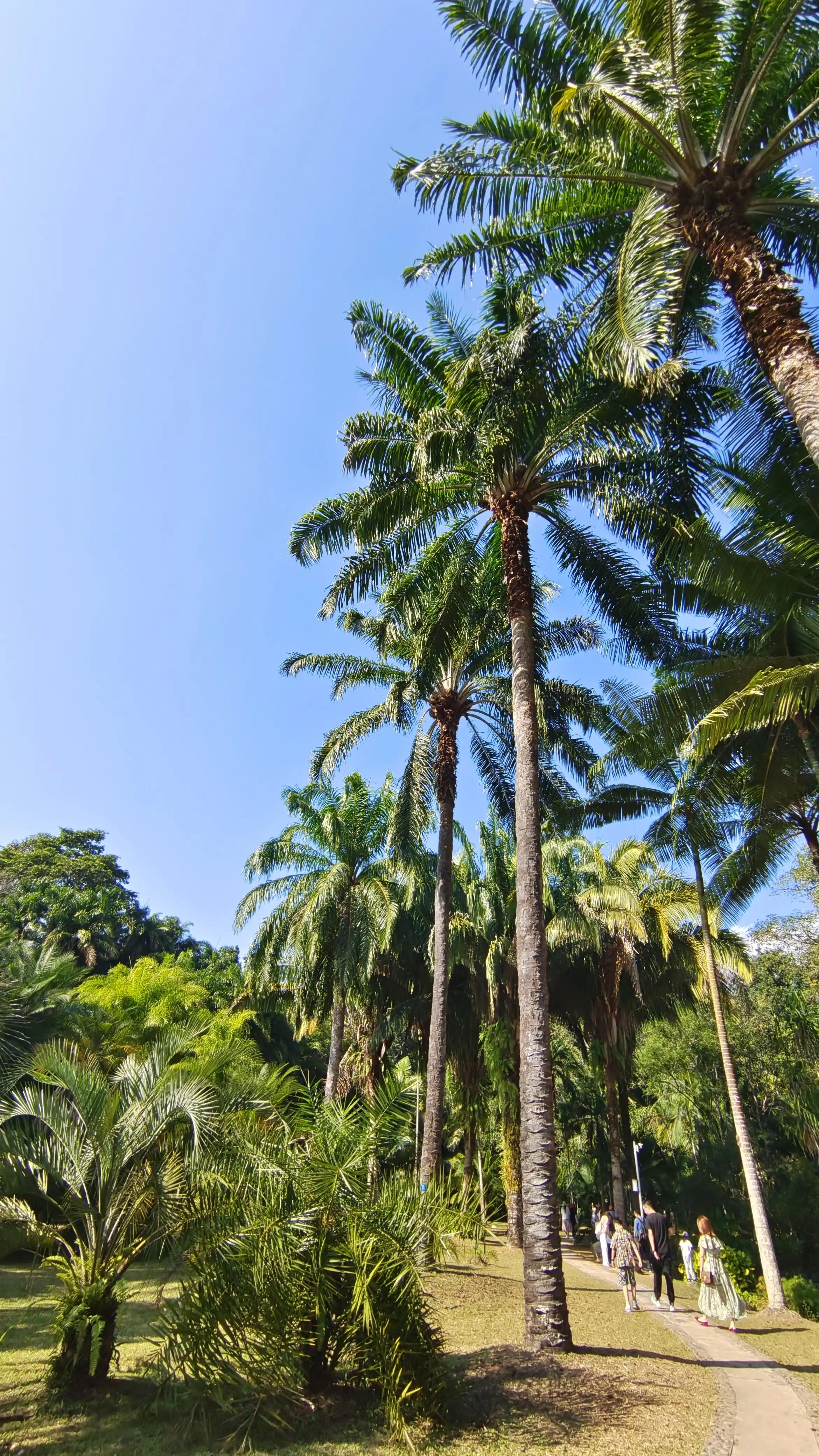 新能源汽车和油车驾驶感受,新能源车和燃油车驾驶感受哪个好