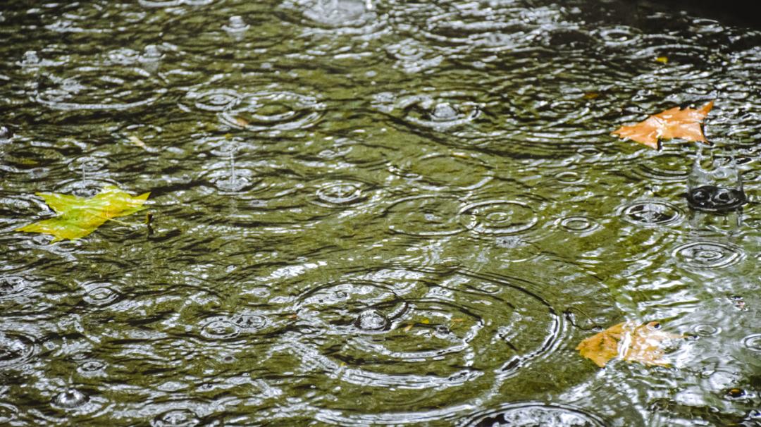秋雨|江虹明远饮,峡雨落馀飞