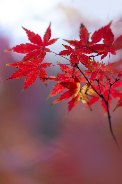 离婚后男人真心想复婚的8个表现,离婚后还能复婚的六种表现