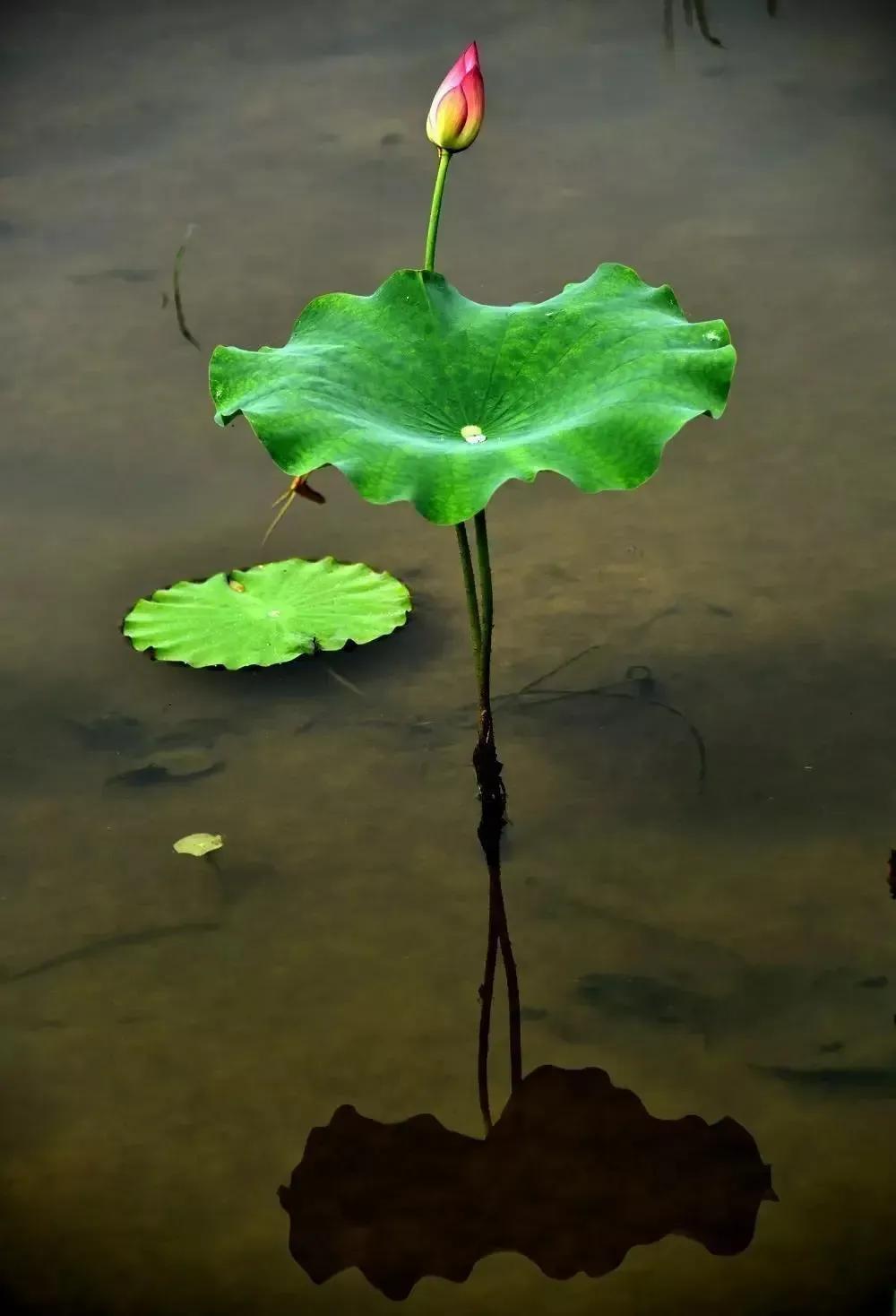 2023年普通人该做什么生意,2023年做什么生意有前途