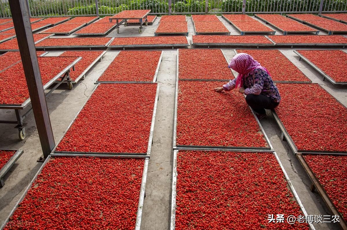食用农产品市场管理办法,食用农产品管理新规发布