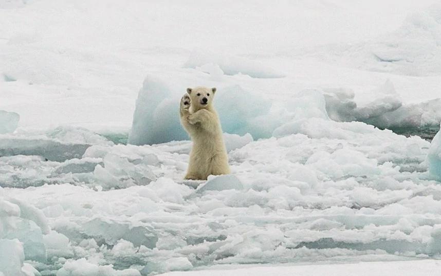 1991年中国科考队担心考察北极受阻，挪威：中国66年前已签过条约