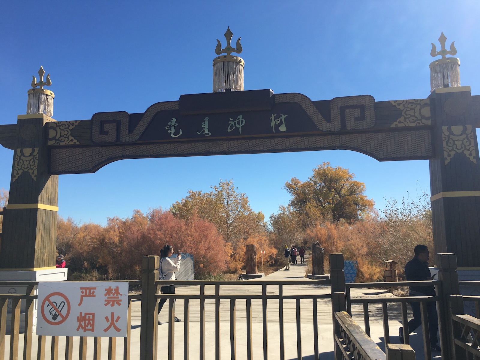 北京自驾额济纳胡杨林十天攻略,从北京到额济纳胡杨林线路