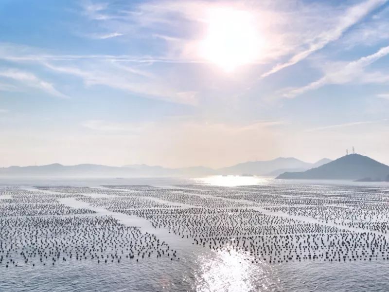 离上海一个小时车程的海边民宿,圣托里尼云上东山海景民宿优惠