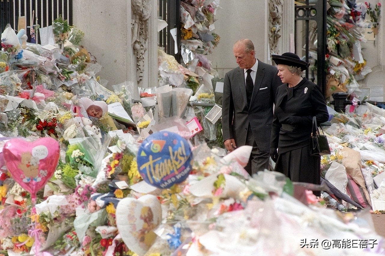 意难忘大结局丽珠离开,意难忘丽珠跟麦克的结局