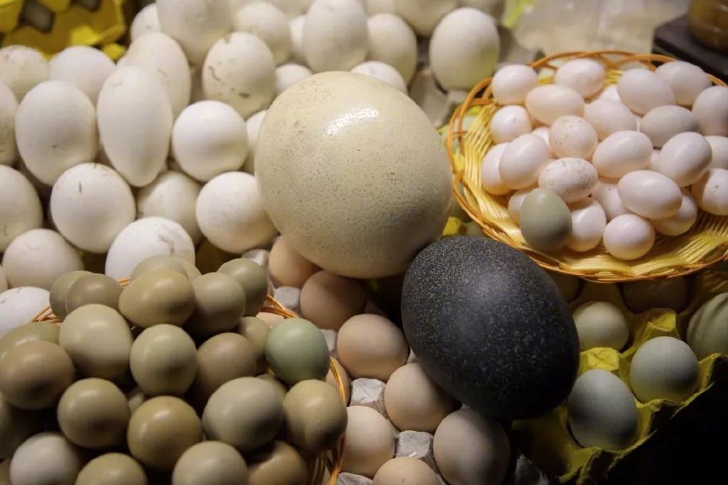 国内最值得逛的五大夜市,中国十大必逛夜市推荐